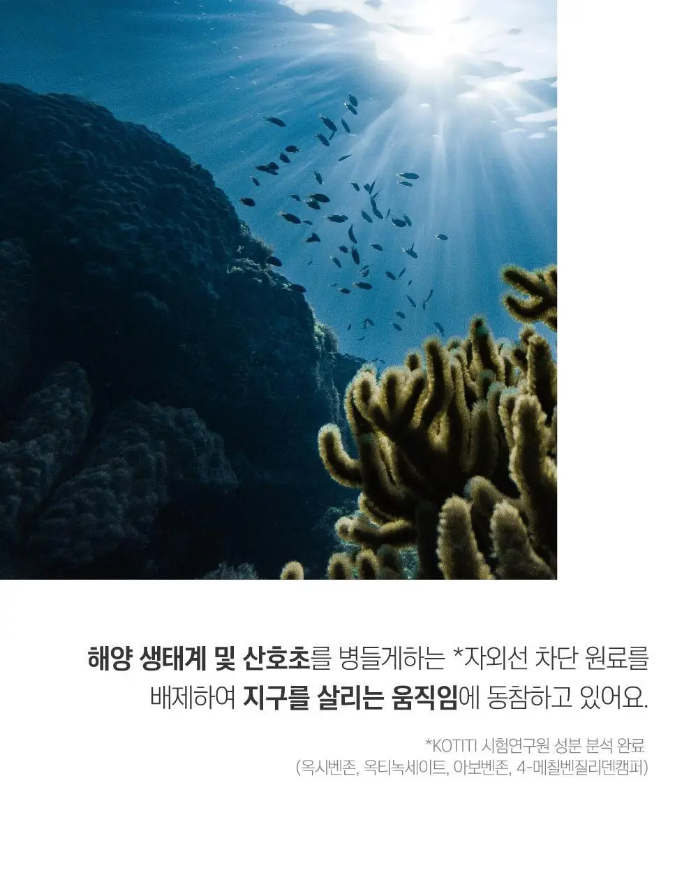 [수분쿨링] 라운드랩 자작나무 수분 선쿠션 15g 상세페이지 12